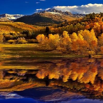 亚博BOB体育下载